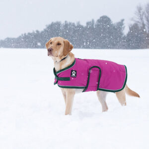 Shedrow k9 vail dog coat