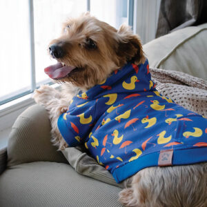 Shedrow k9 canmore dog hoodie