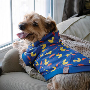 Shedrow k9 canmore dog hoodie