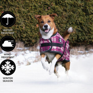 Shedrow k9 glacier dog coat