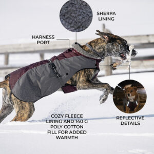 Shedrow k9 chinook dog coat