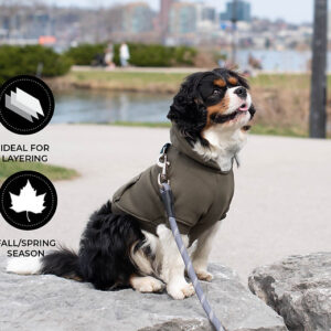 Shedrow k9 brentwood dog hoodie