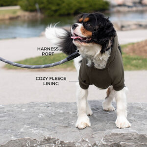 Shedrow k9 brentwood dog hoodie