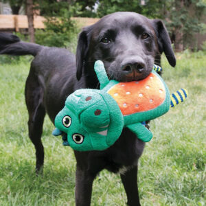 Kong whoopz gator