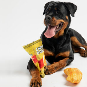 Silver paw 2 in 1 cheese doodles dog toy