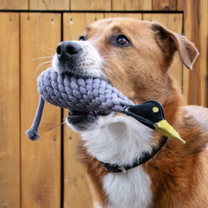 Shedrow k9 Canada goose rope & water bottle dog toy