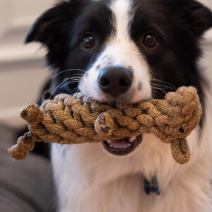 Shedrow k9 beaver rope dog toy