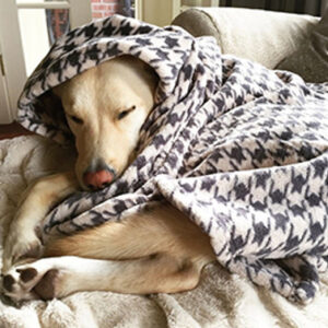 Tall tails houndstooth blanket