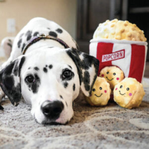 Zippy paws popcorn burrow