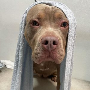 after-a-good-shower